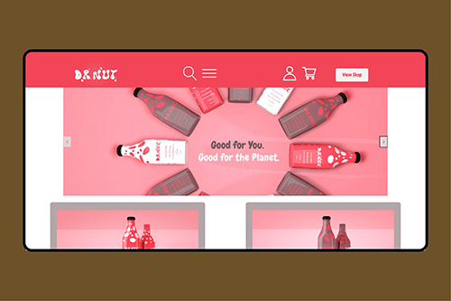 Visual representation of the Project