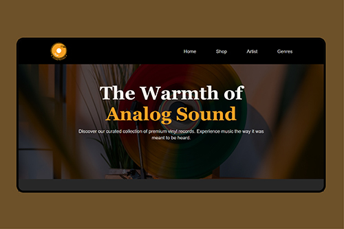 Visual representation of the Project